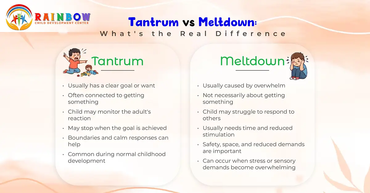 Tantrum vs Meltdown: What's the Real Difference
